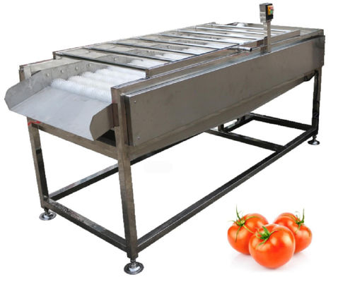500kg / h Thiết bị nhà máy chế biến thực phẩm, Máy rửa bàn chải rau củ quả