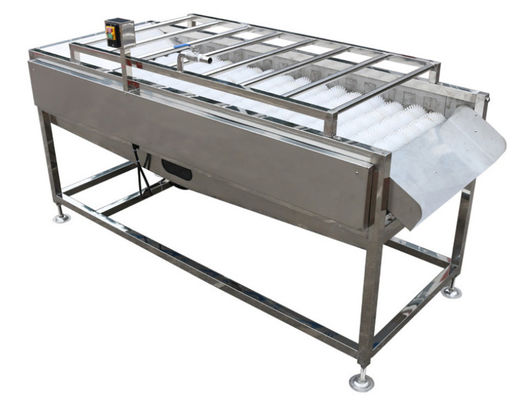 500kg / h Thiết bị nhà máy chế biến thực phẩm, Máy rửa bàn chải rau củ quả