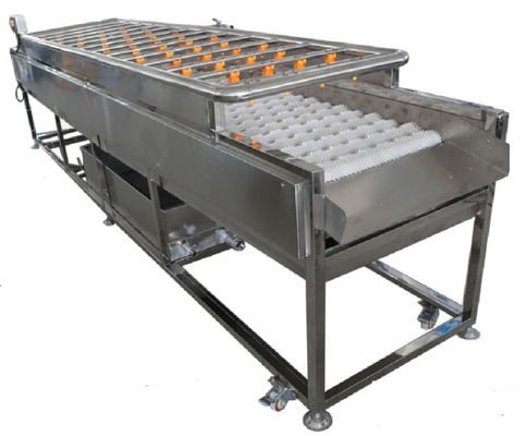 Máy chế biến thực phẩm 3,35KW, Máy làm sạch phun 1000kg / h
