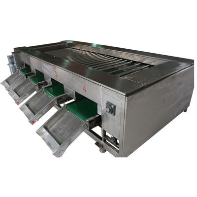 2000kg / h Máy chế biến thực phẩm, Thiết bị phân loại rau củ quả