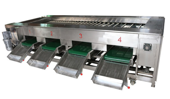 2000kg / h Máy chế biến thực phẩm, Thiết bị phân loại rau củ quả