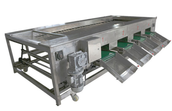 2000kg / h Máy chế biến thực phẩm, Thiết bị phân loại rau củ quả